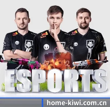 home-kiwi.com.cn APP
